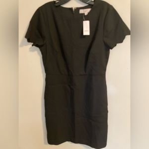 NWT Ann Taylor LOFT Dress scalloped Black 6 fitted